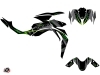 Kawasaki Z 1000 Street Bike Airline Graphic Kit Black Green