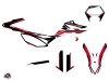 Beta RR 50 Enduro 50cc FIRENZE Graphic Kit Black Red White