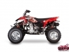 Kit Déco Quad Freegun Polaris Outlaw 450