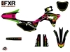 Honda 250 CRF Dirt Bike FXR N2 Graphic Kit Colors