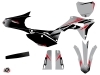 Honda 250 CRF Dirt Bike Nasting Graphic Kit Grey Red