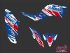 Yamaha 250 Raptor ATV Replica Romain Couprie Graphic Kit 2012