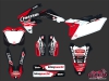 Honda 450 CRF Dirt Bike Replica Team Luc1 Graphic Kit 2012