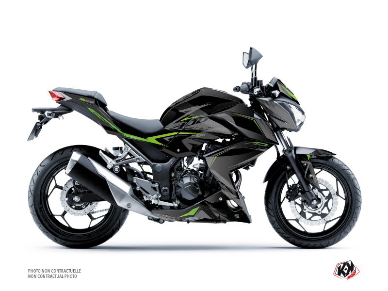 Kit Déco Moto Airline Kawasaki Z 300 Noir Vert