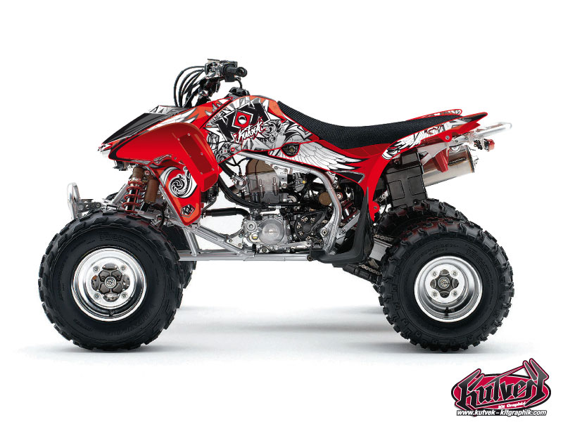 Honda 450 TRX ATV Demon Graphic Kit