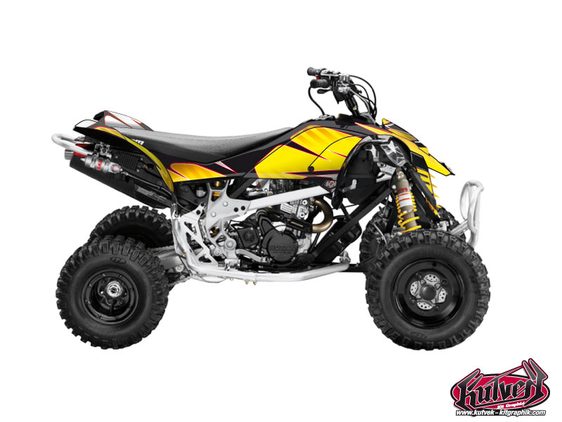 Kit Déco Quad Factory Can Am DS 450