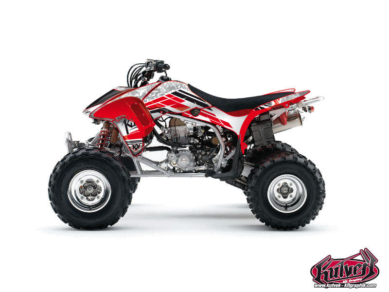 Honda 450 TRX ATV Spirit Graphic Kit