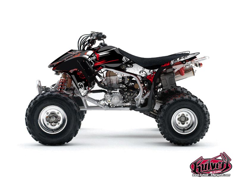 Honda 450 TRX ATV Trash Graphic Kit Black Red