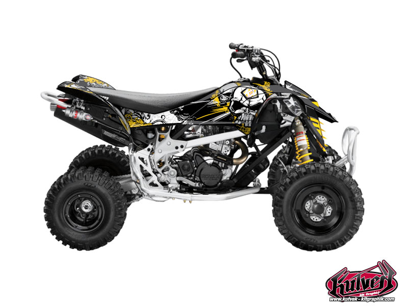 Can Am DS 450 ATV Trash Graphic Kit Black Yellow